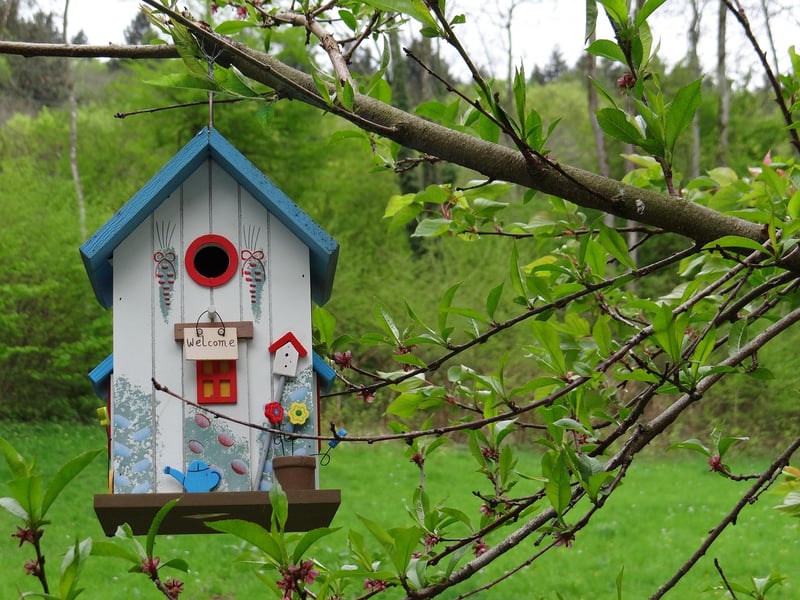 Elven Treehouse Escapes