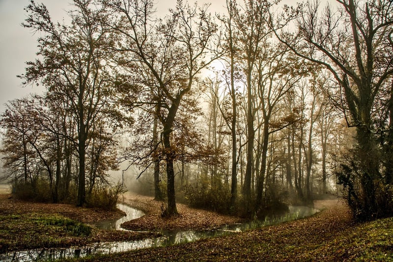 Sparkling Stream Trail